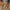 6828e557-0129-420f-b31f-f778ba9b9ebb-Max
