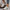 8380aaff-107a-4484-aef7-7a41d8ad2e1b-Max