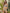 8bb2cc7e8e034242b2e7d106ae1d8a6e-Max