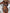d1c86586b24c4048969beac333b9e2c4-Max
