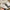 d6bf242a-9fa7-4d53-b75f-14814b6fb008-Max
