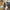 ff82672b-f74f-4716-8e28-957591c1ed78-Max